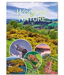 Wonders of Nature Brunel Wall  Calendar