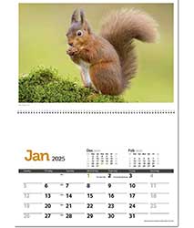 C98 Scenic World Postage Saver Reeve Advertising Calendar