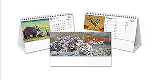360 Degrees Rose Interactive Desk Calendar